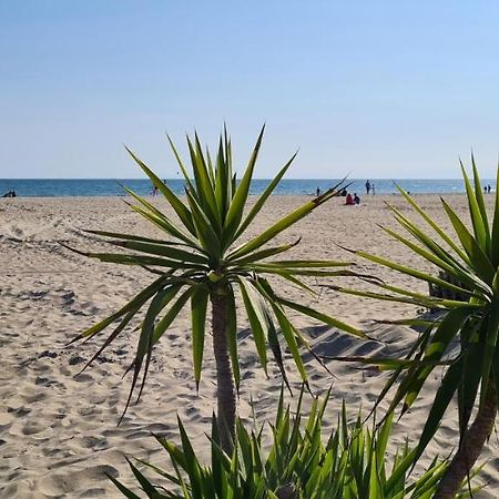 Joli T2 Avec Jardin Plage Richelieu - 6 Personnes Agde Eksteriør bilde